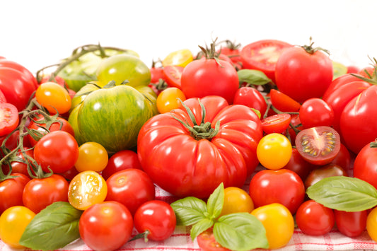 A Bit of Help Selecting The Best Tomatoes for You
