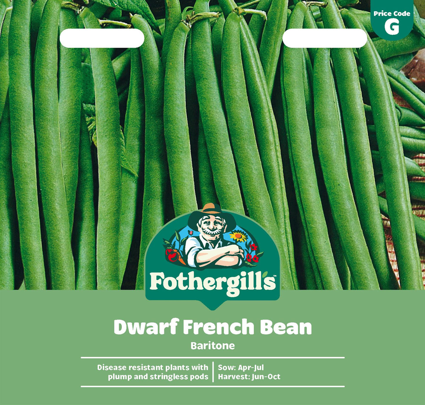 Fothergills Dwarf French Bean Baritone Seeds