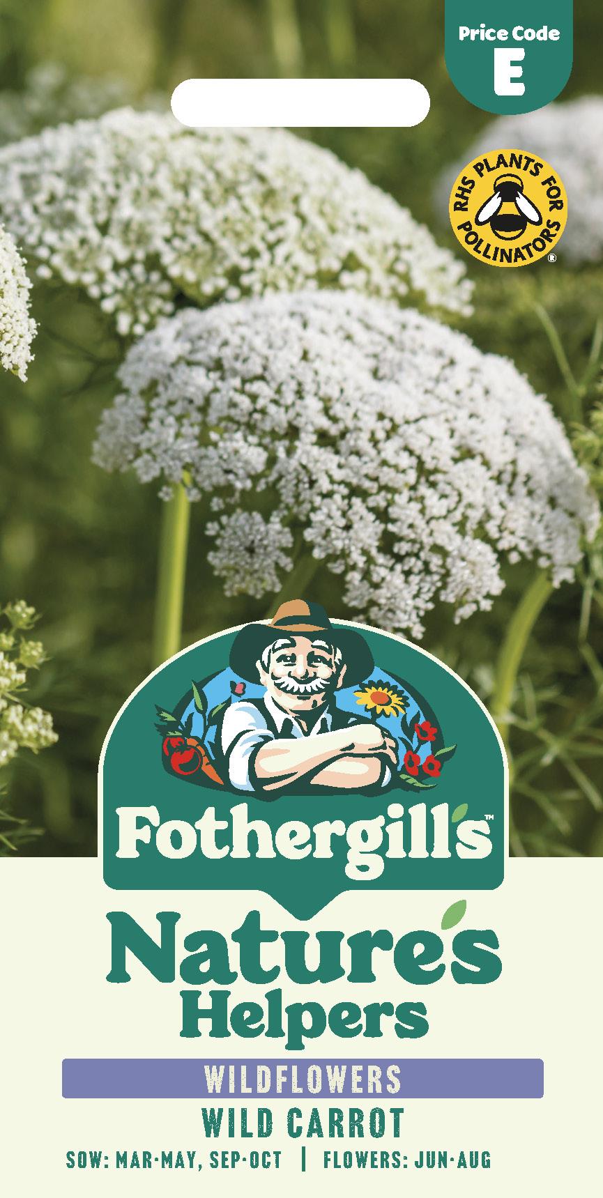 Fothergills Wild flowers Nature Haven Wild Carrot Seeds