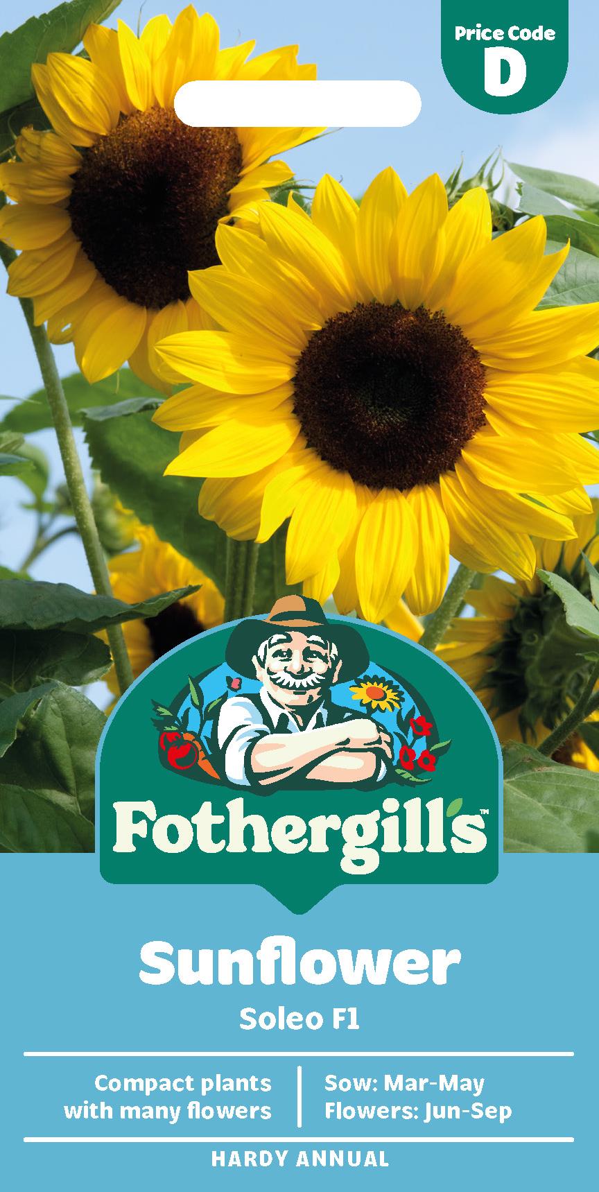 Fothergills Sunflower Soleo F1 Seeds