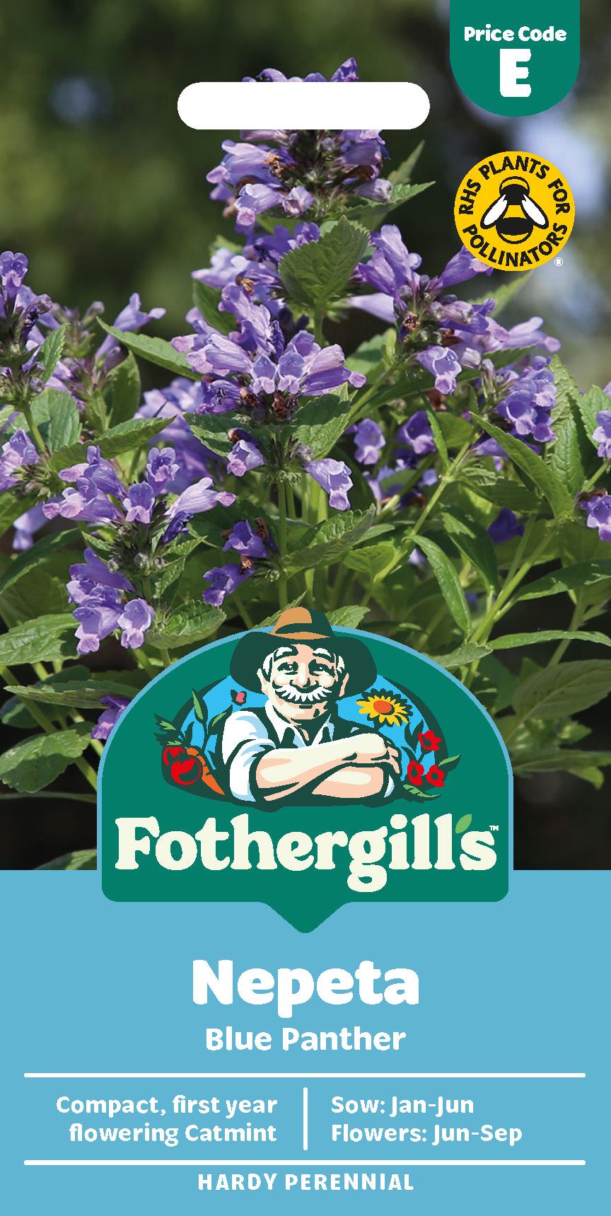 Fothergills Nepeta Blue Panther Seeds