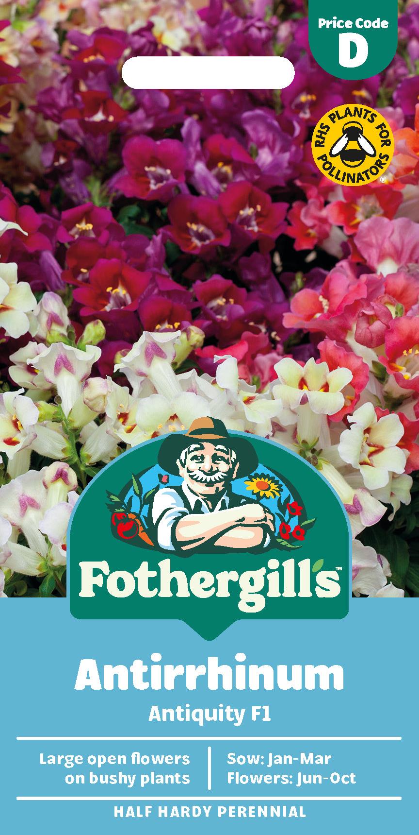 Fothergills Antirrhinum Antiquity F1 Seeds