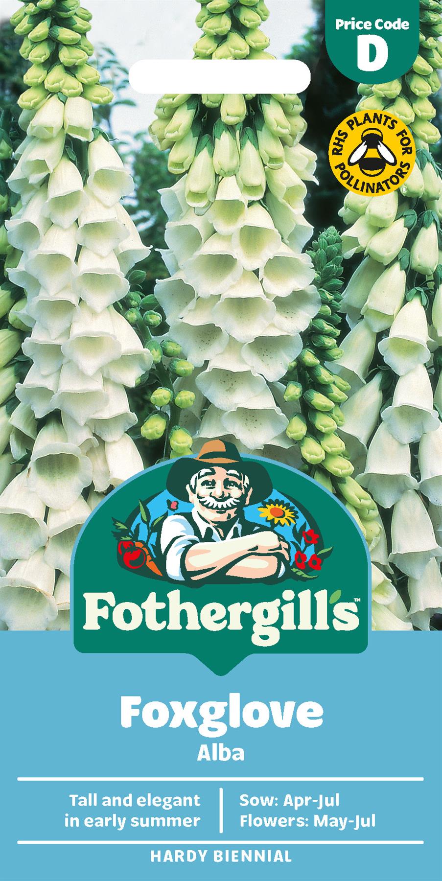 Fothergills Foxglove Alba Seeds