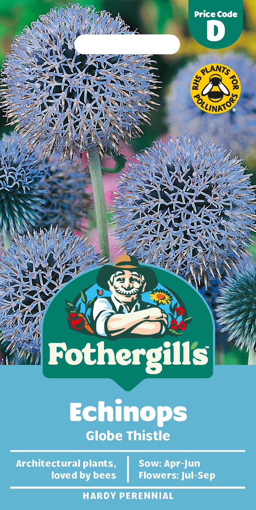 Fothergills Echinops Globe Thistle Seeds