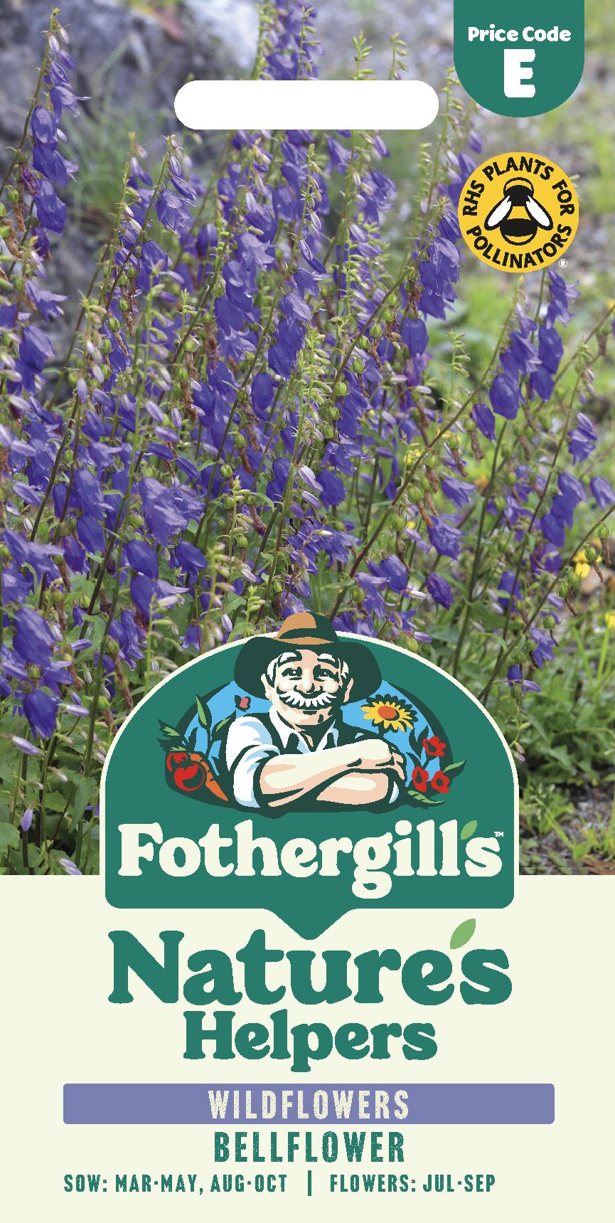 Fothergills Wild flowers Nature Haven Bellflower Seeds