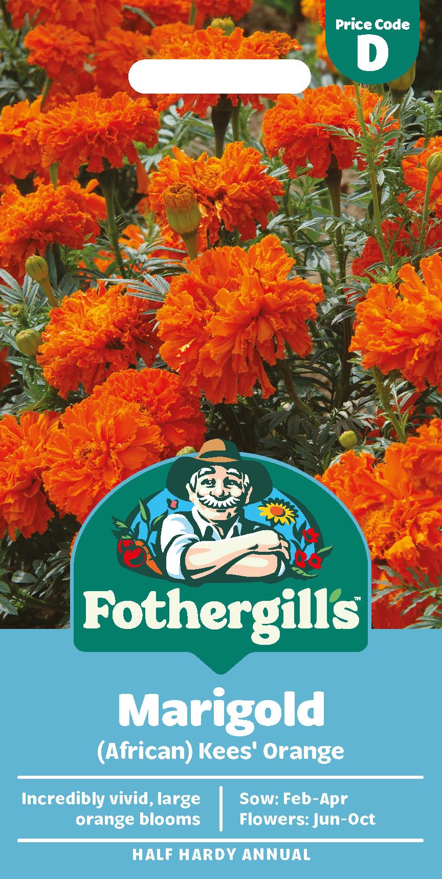 Fothergills African Marigold Kees' Orange Seeds