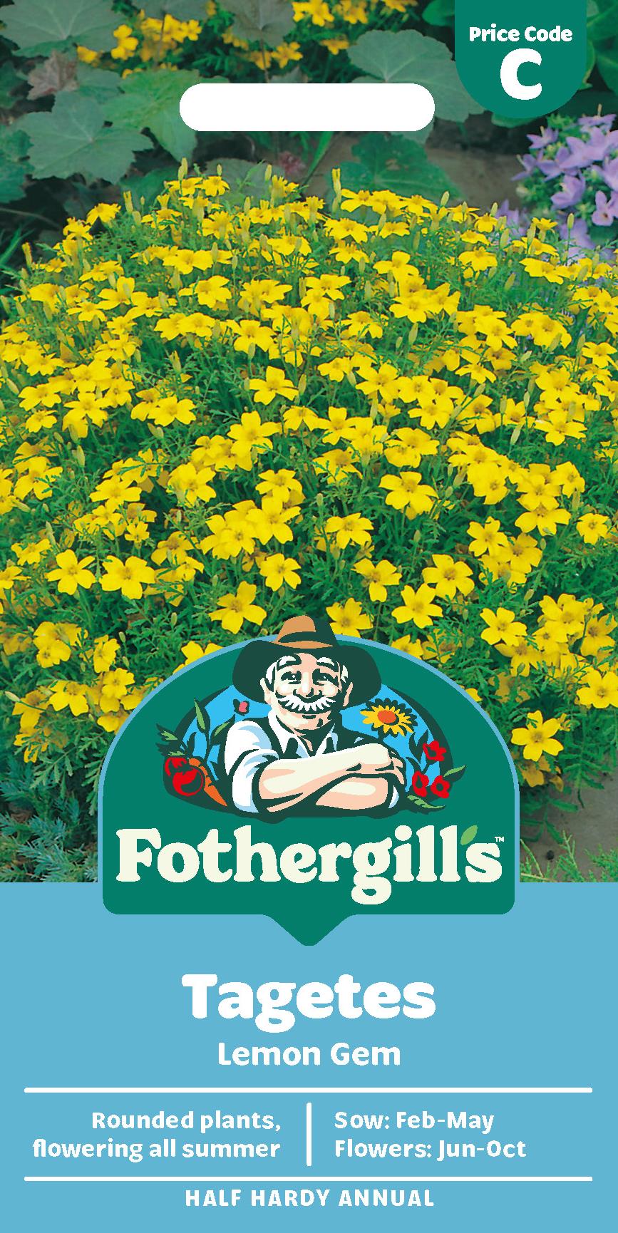 Fothergills Tagetes Lemon Gem Seeds