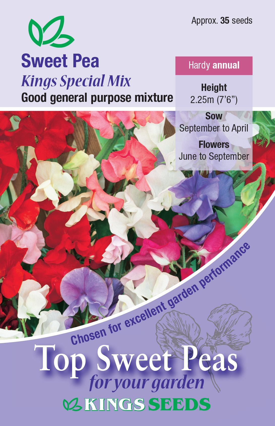 Kings Seeds Sweet Pea Kings Special Mix 35 Seeds
