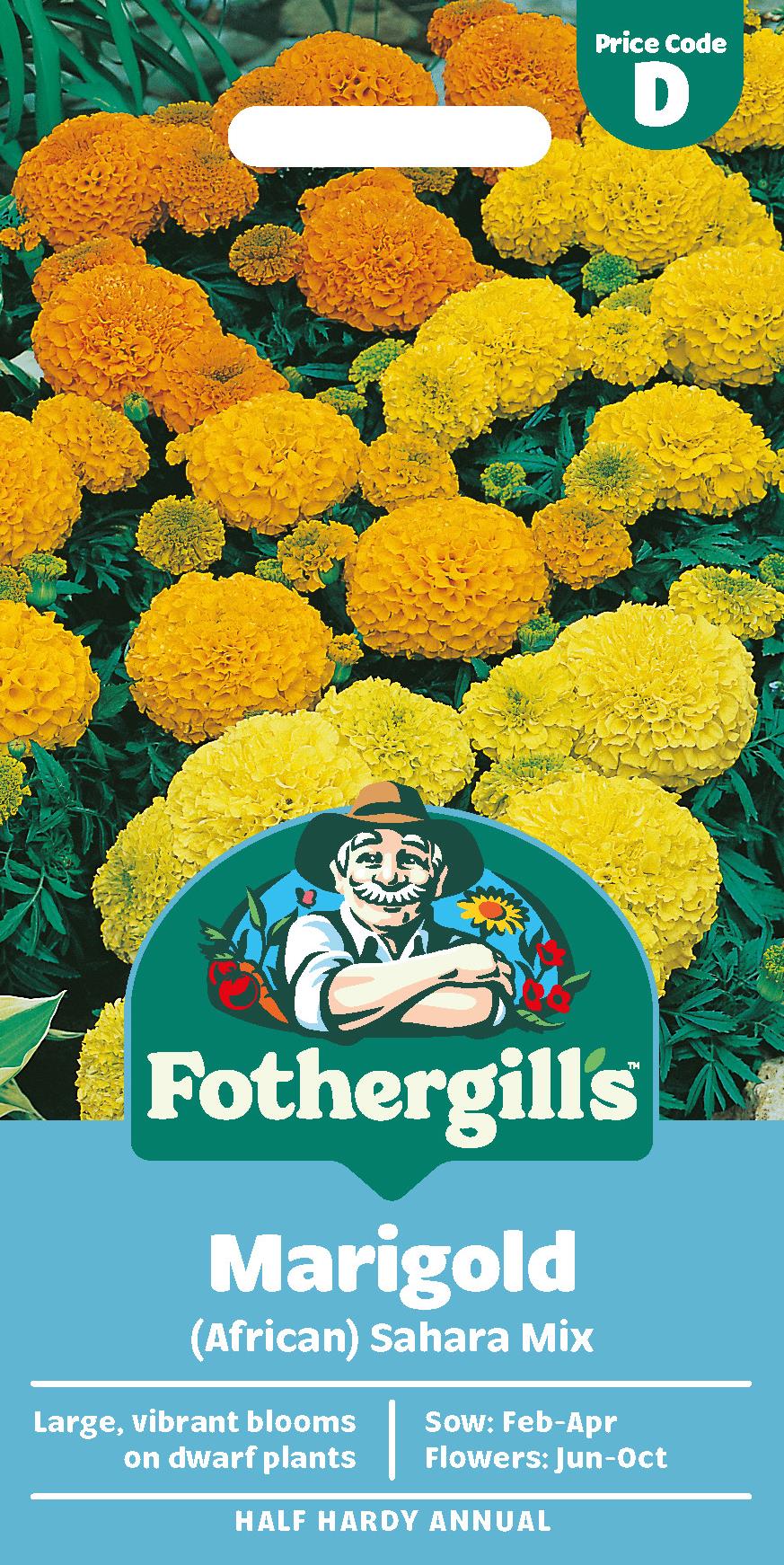 Fothergills African Marigold Sahara Mix Seeds