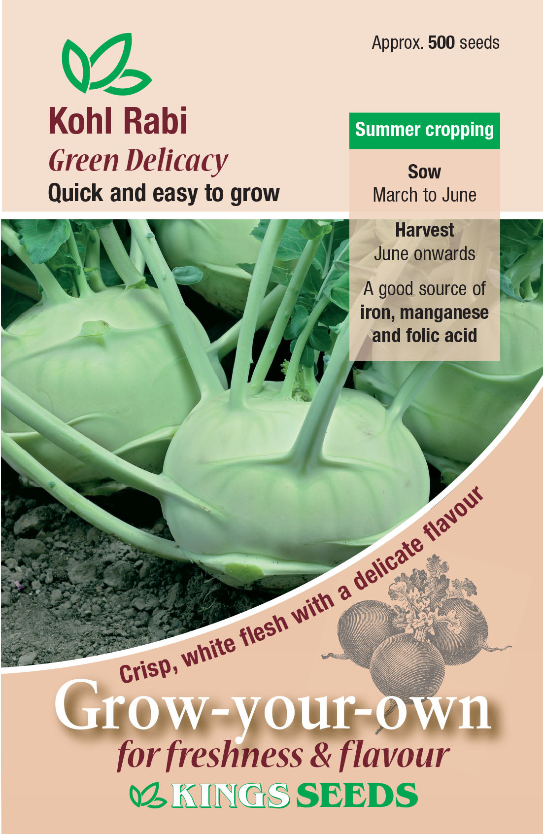 Kings Seeds Kohl Rabi Green Delicacy 500 Seeds