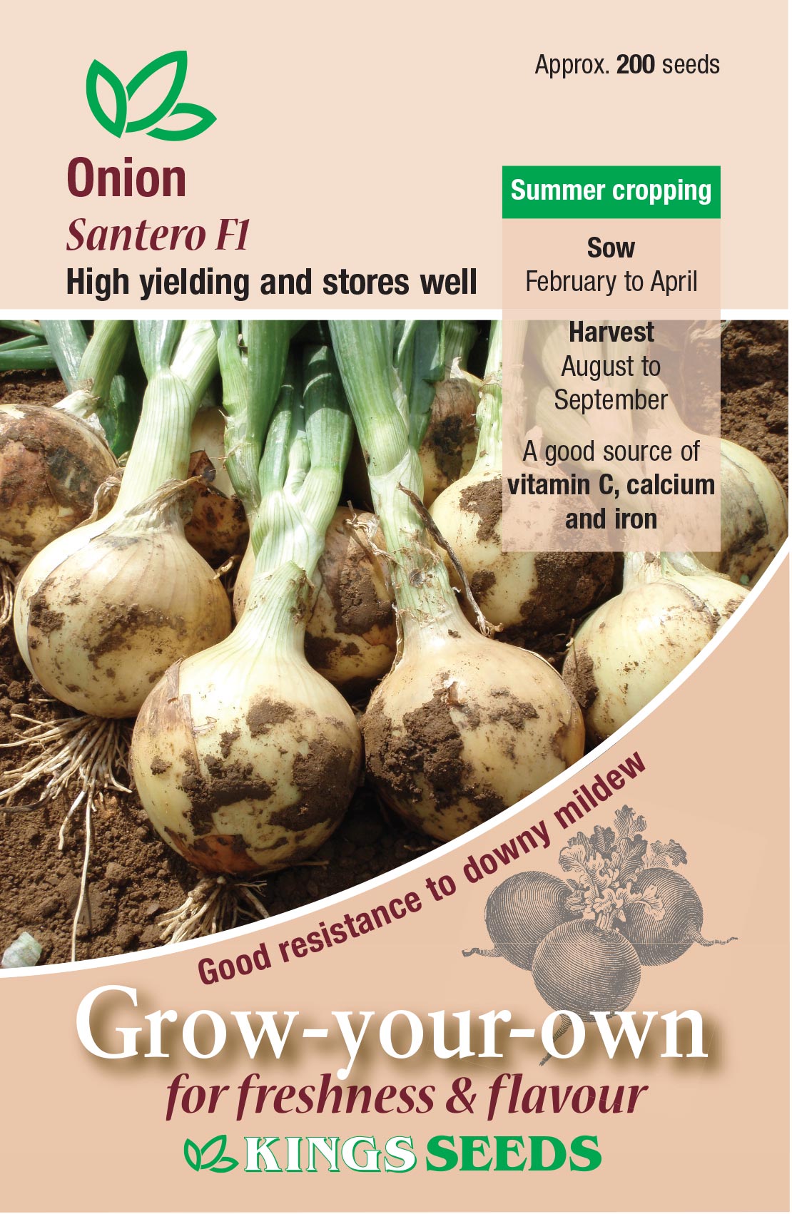 Kings Seeds Onion Santero F1 Hybrid 200 Seeds