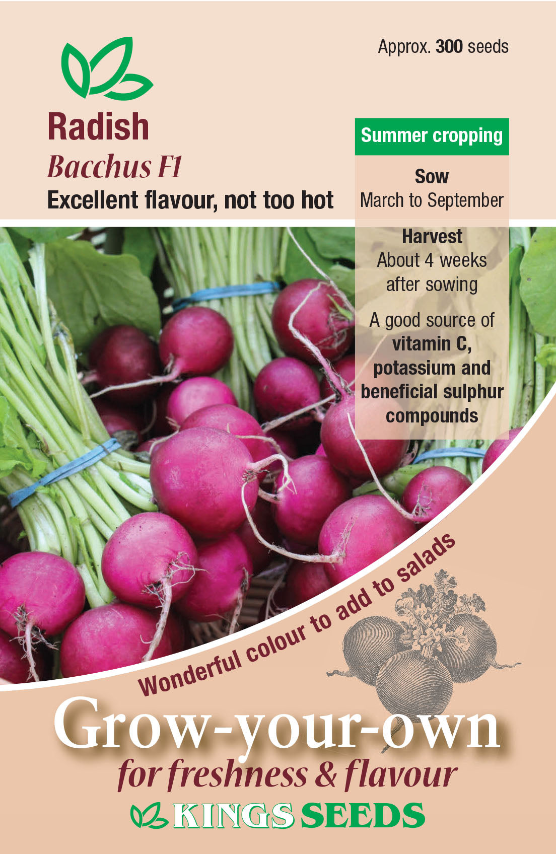 Kings Seeds Radish Bacchus F1 - 300 Seeds