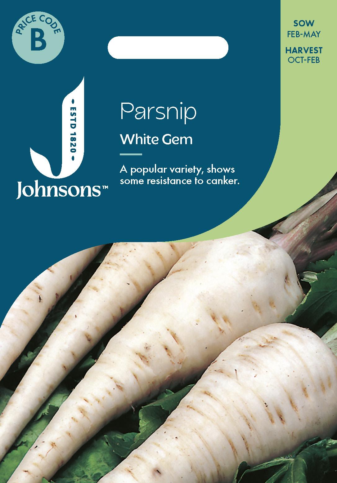Johnsons - Parsnip White Gem - 500 Seeds