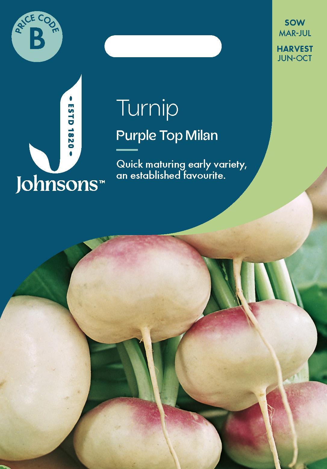 Johnsons - Turnip Purple Top Milan - 1750 Seeds