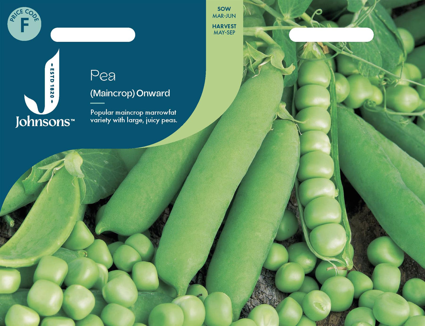Johnsons - Pea (maincrop) Onward - 300 Seeds