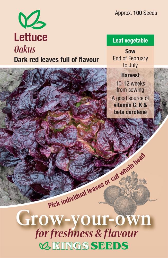 Kings Seeds Lettuce Oakus Seeds