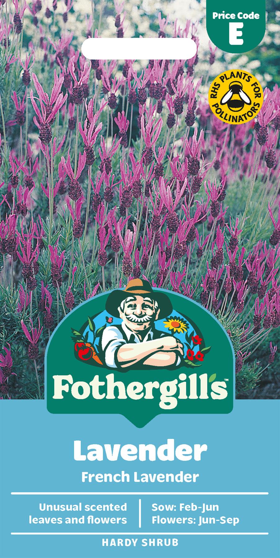 Fothergills Lavender French Lavender Seeds