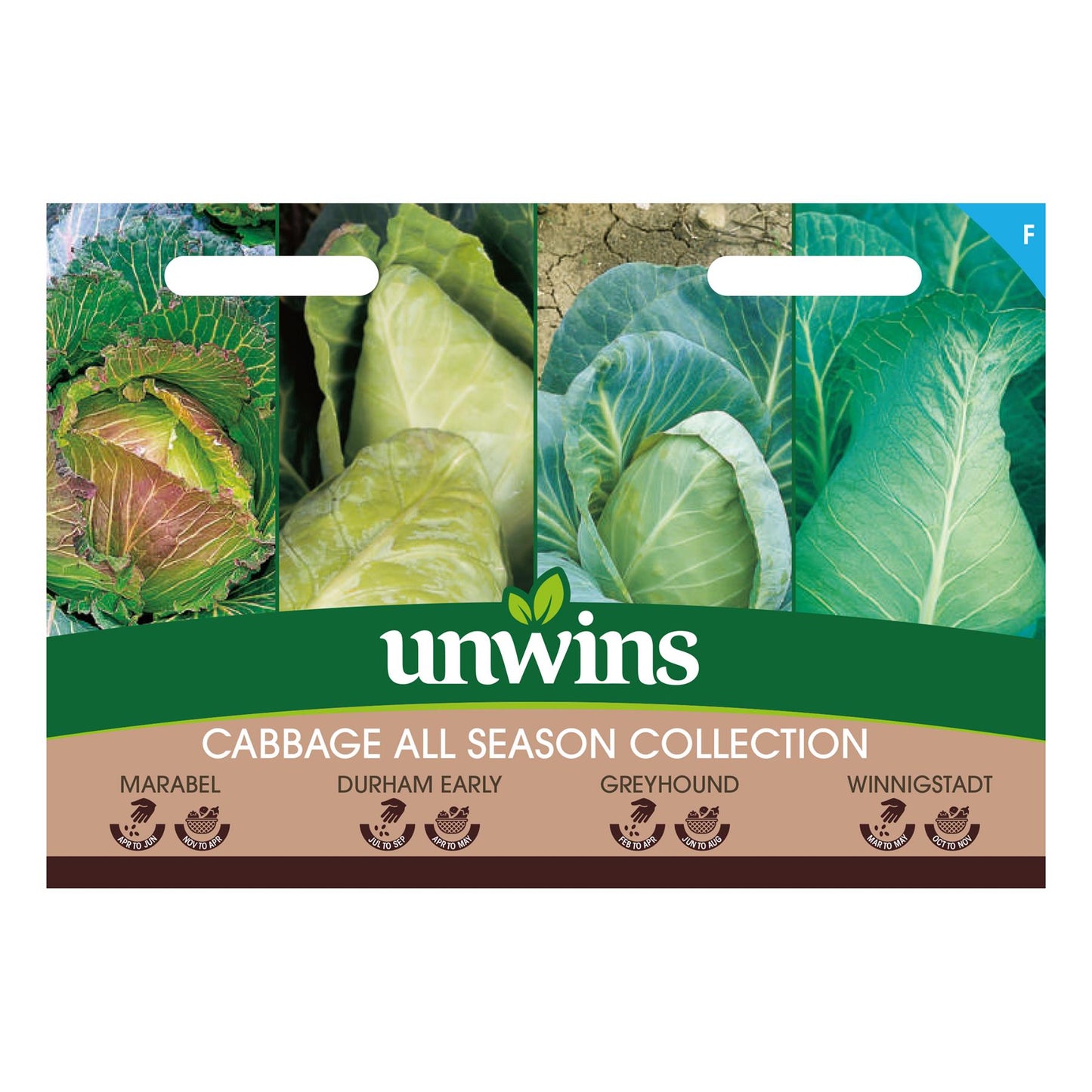 Unwins Vegetable Cabbage All Season Collection Pack - 1000 Seeds