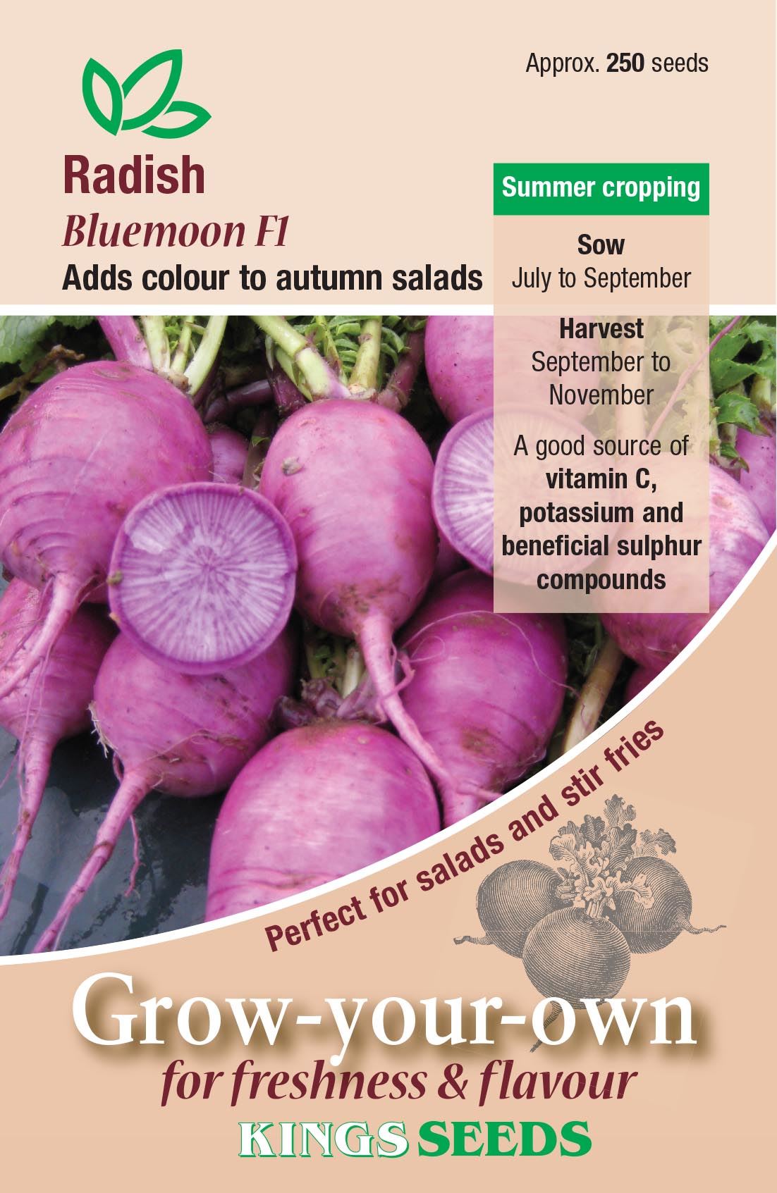 Kings Seeds Radish Bluemoon F1 Seeds