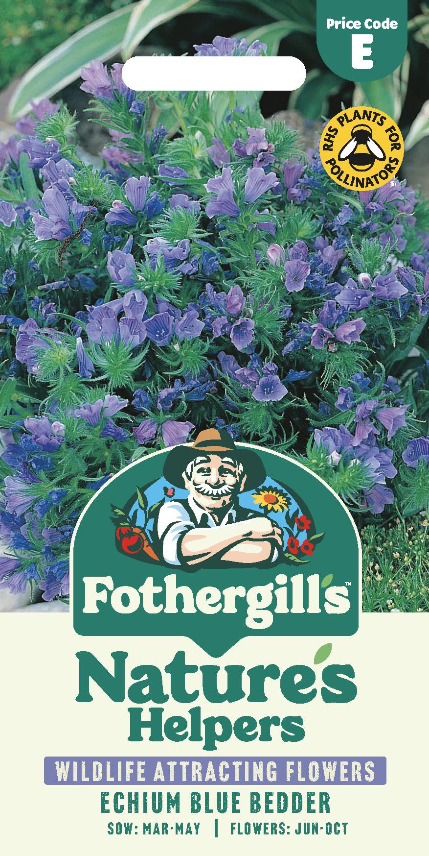 Fothergills Nature Haven - Echium Blue Bedder Seeds