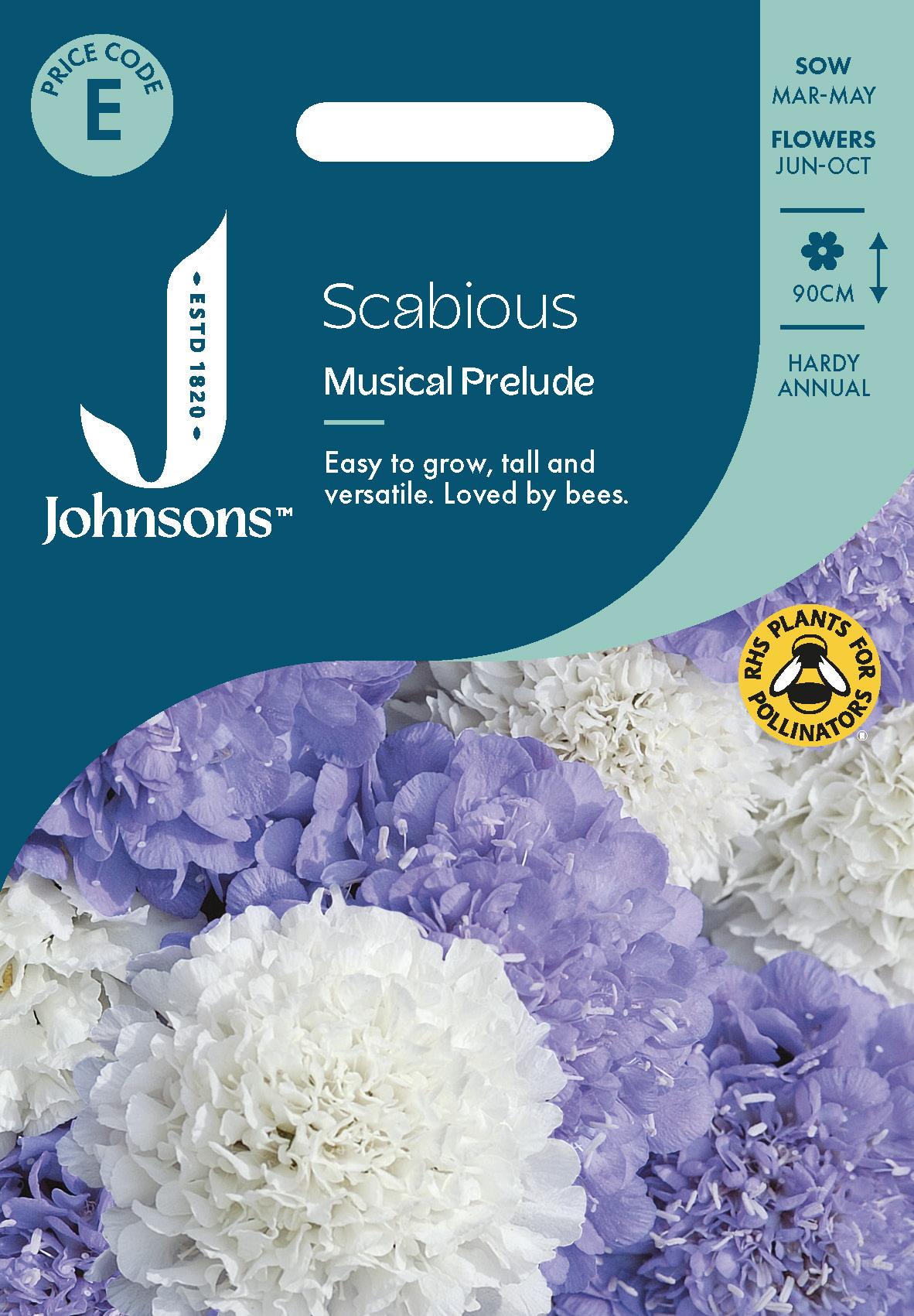 Johnsons - Scabious Musical Prelude - 75 Seeds
