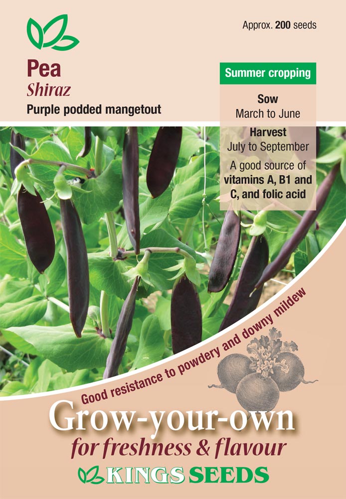 Kings Seeds Pea Shiraz 200 Seeds