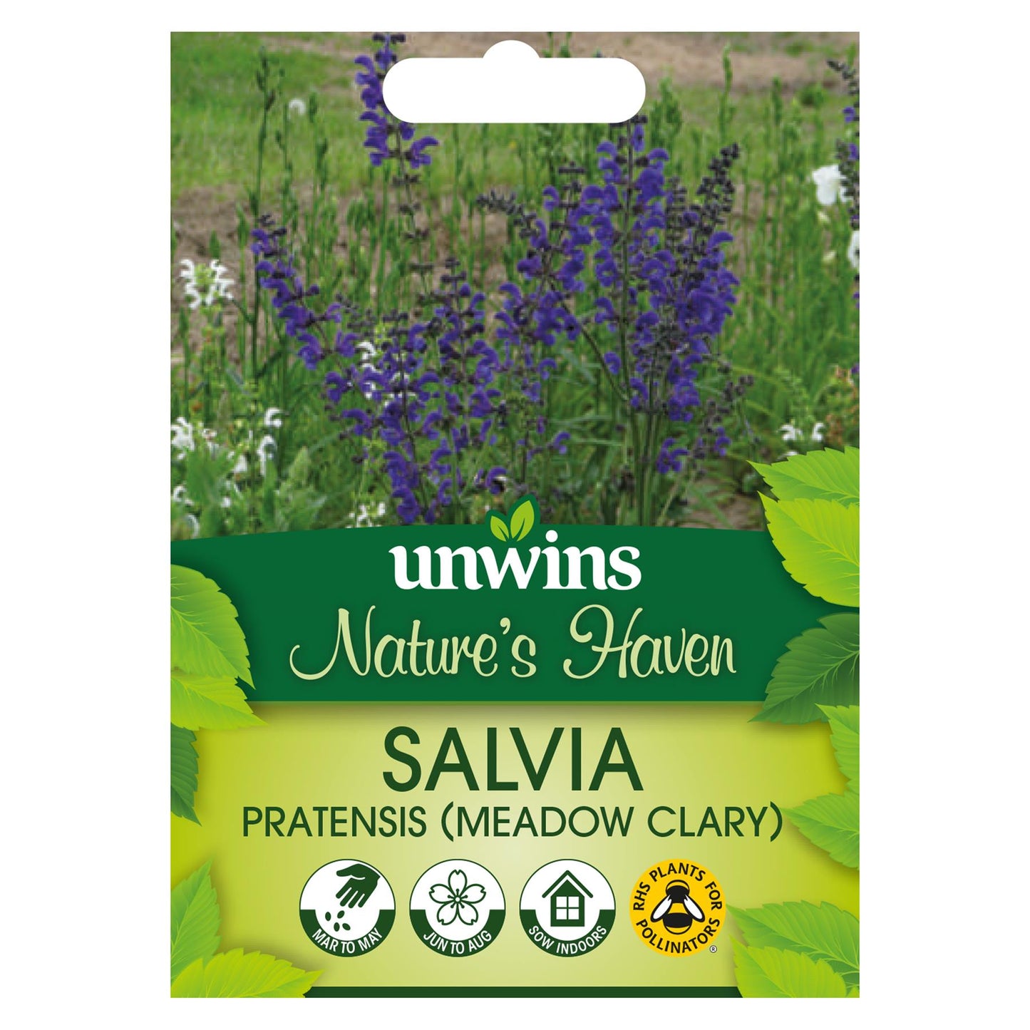 Unwins Flower Flowers for Wildlife Meadow Clary - 100 Seeds
