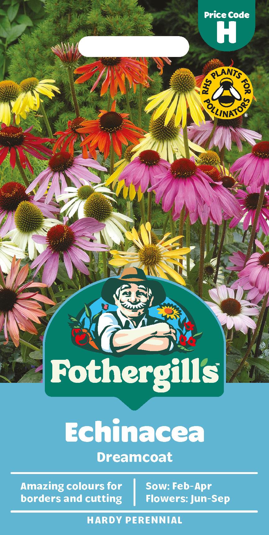 Fothergills Echinacea Dreamcoat Seeds
