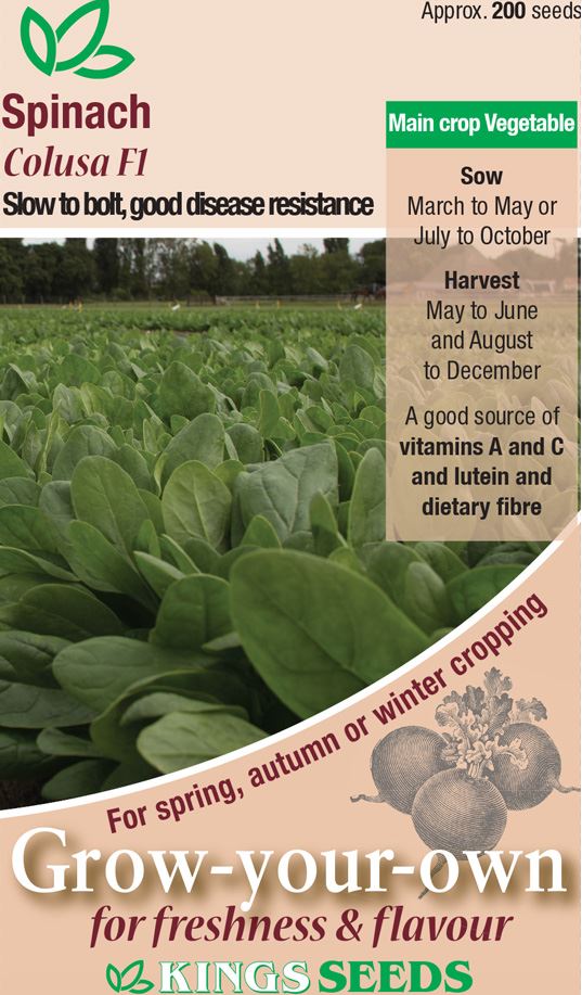 Kings Seeds Spinach Colusa F1 Seeds