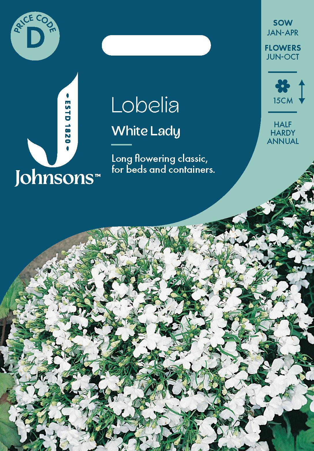 Johnsons - Lobelia White Lady - 2500 Seeds