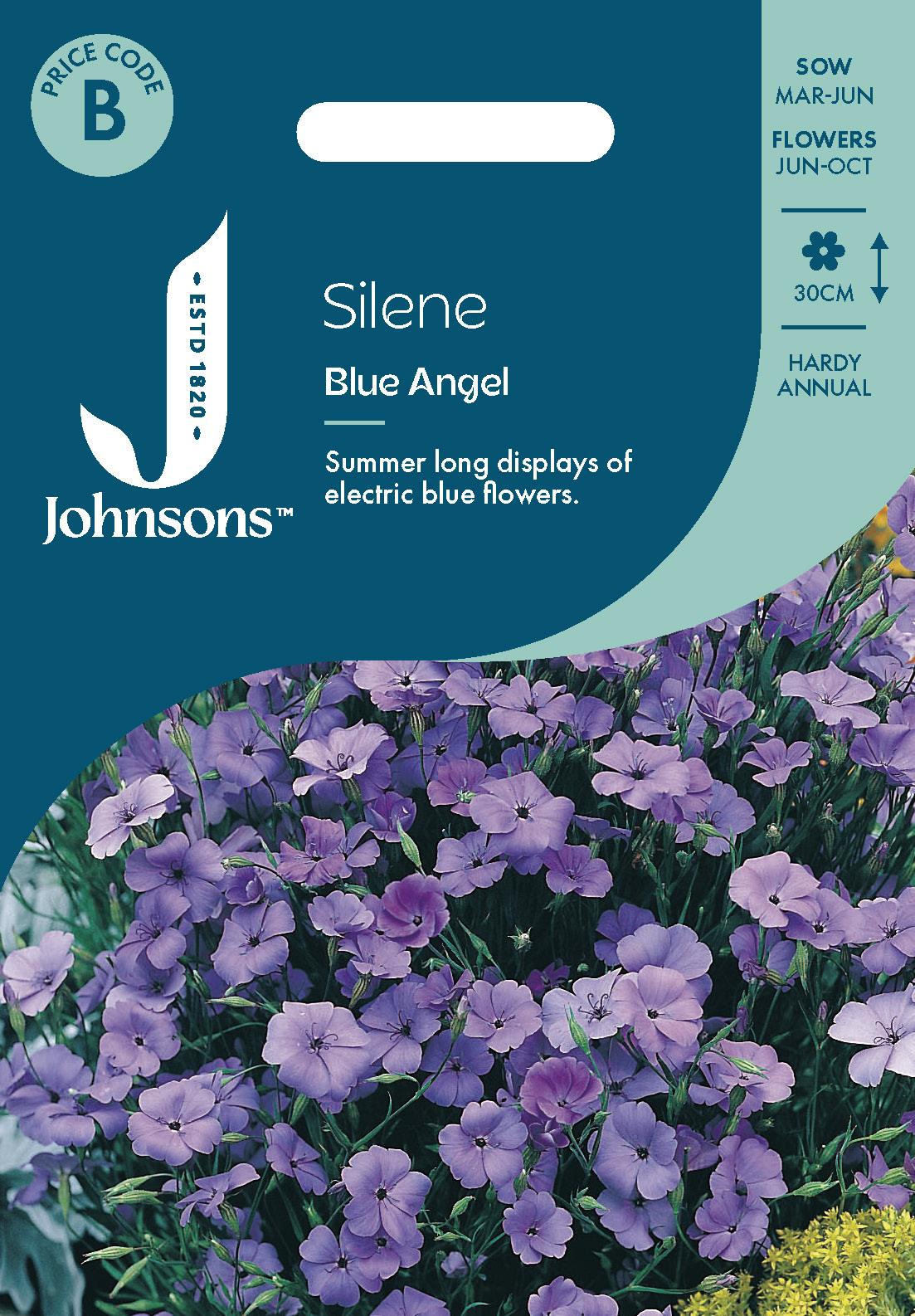 Johnsons - Silene Blue Angel - 1000 Seeds