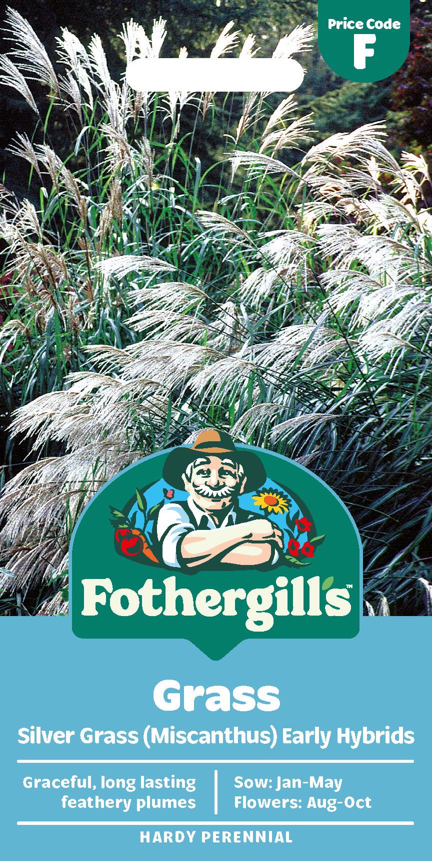 Fothergills Grass Silver Grass (Miscanthus) Early Hybrids Seeds