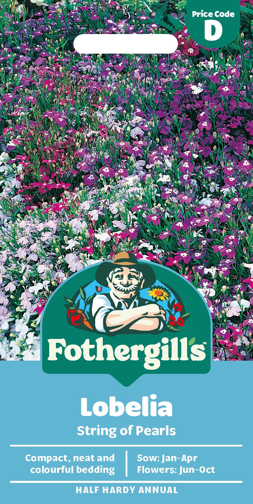 Fothergills Lobelia String Of Pearls Seeds