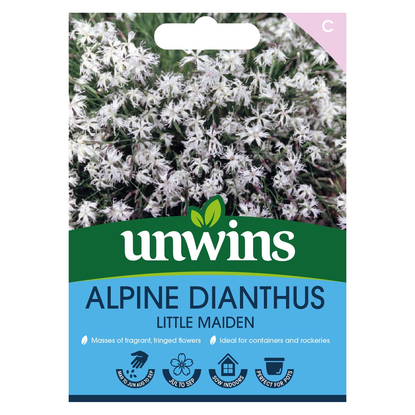 Unwins Flower Dianthus arenarius f. nanus Little Maiden - 50 Seeds