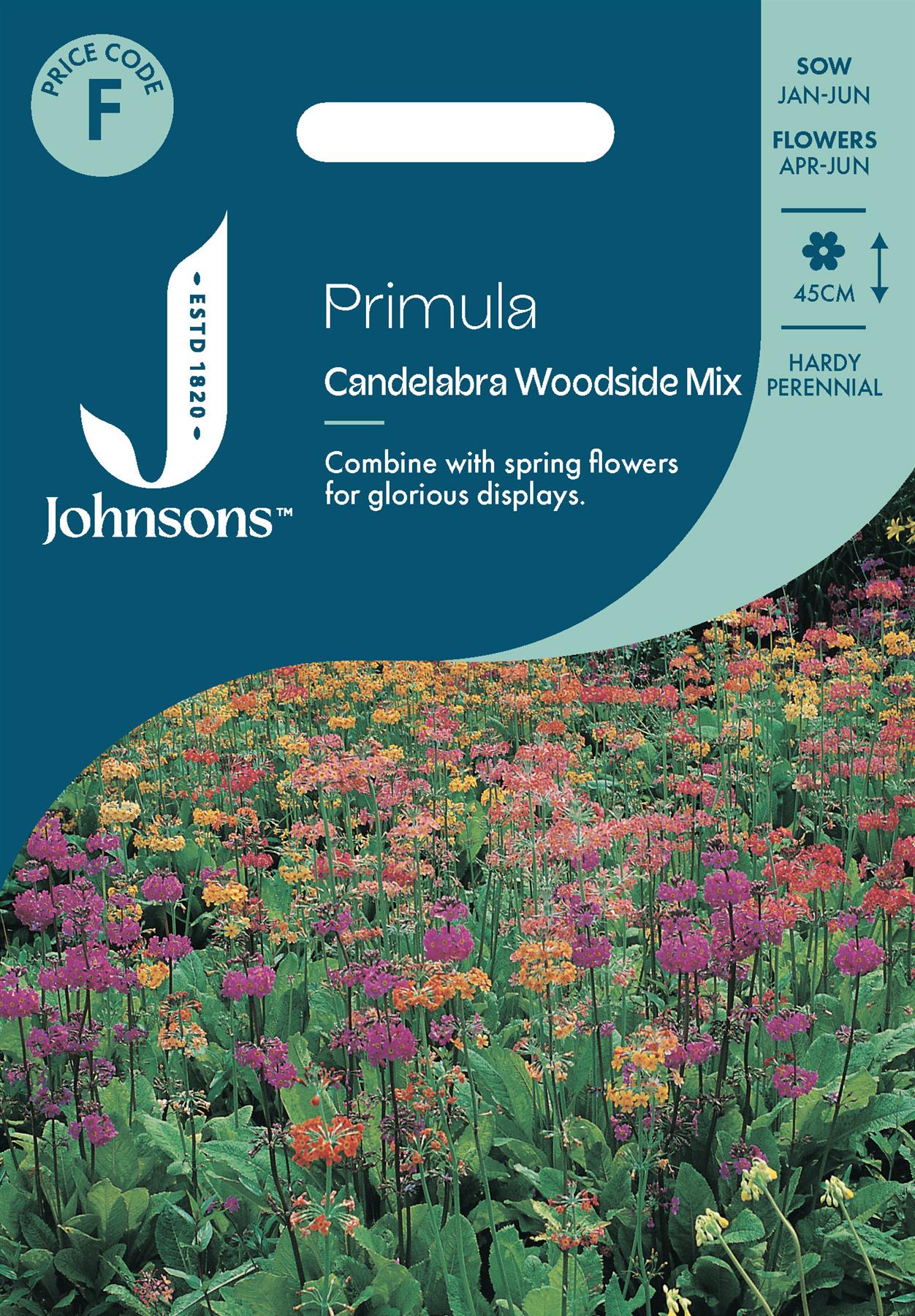 Johnsons - Primula Candelabra Woodside Mix - 50 Seeds