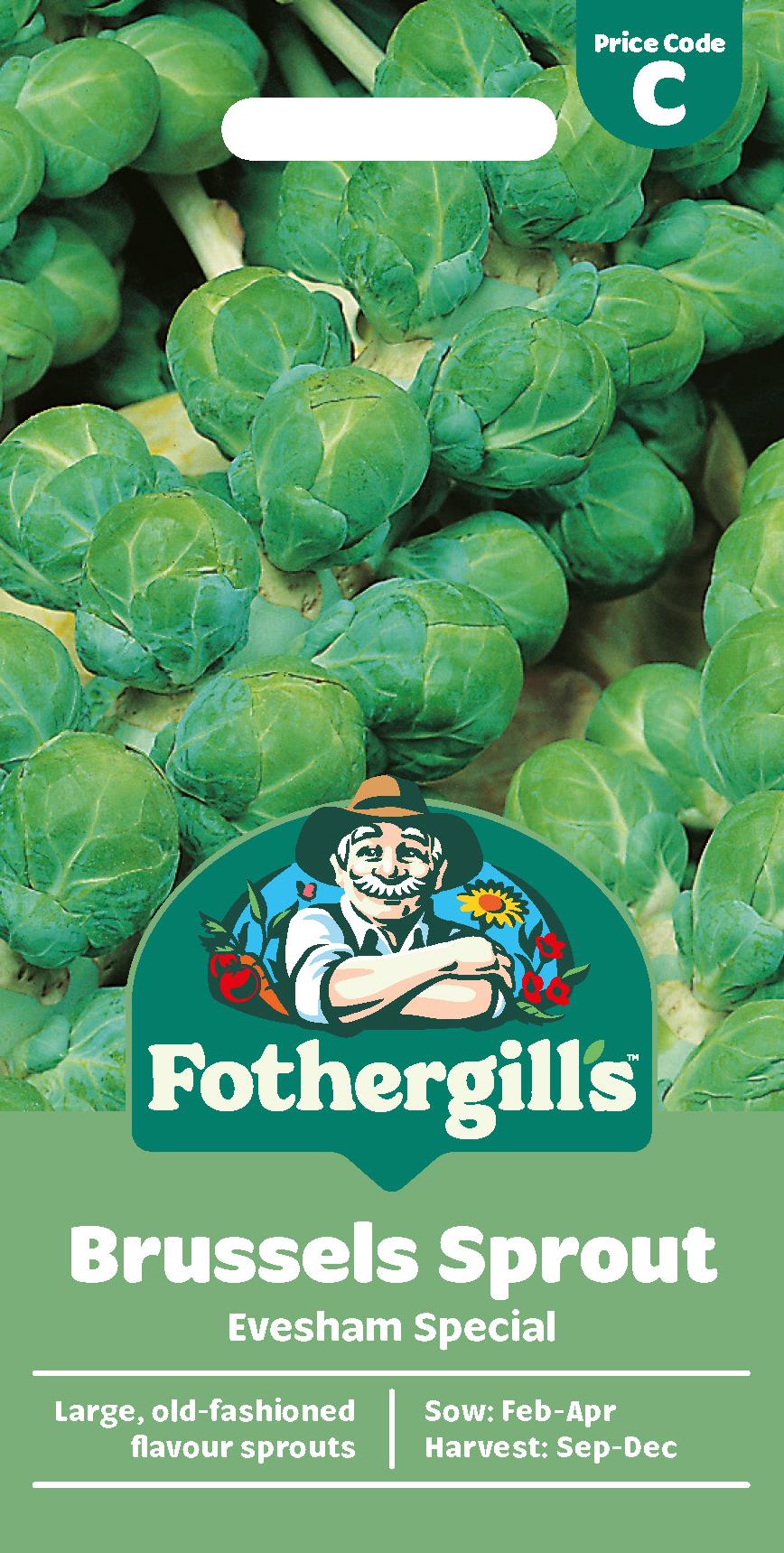 Fothergills Brussels Sprout Evesham Special Seeds