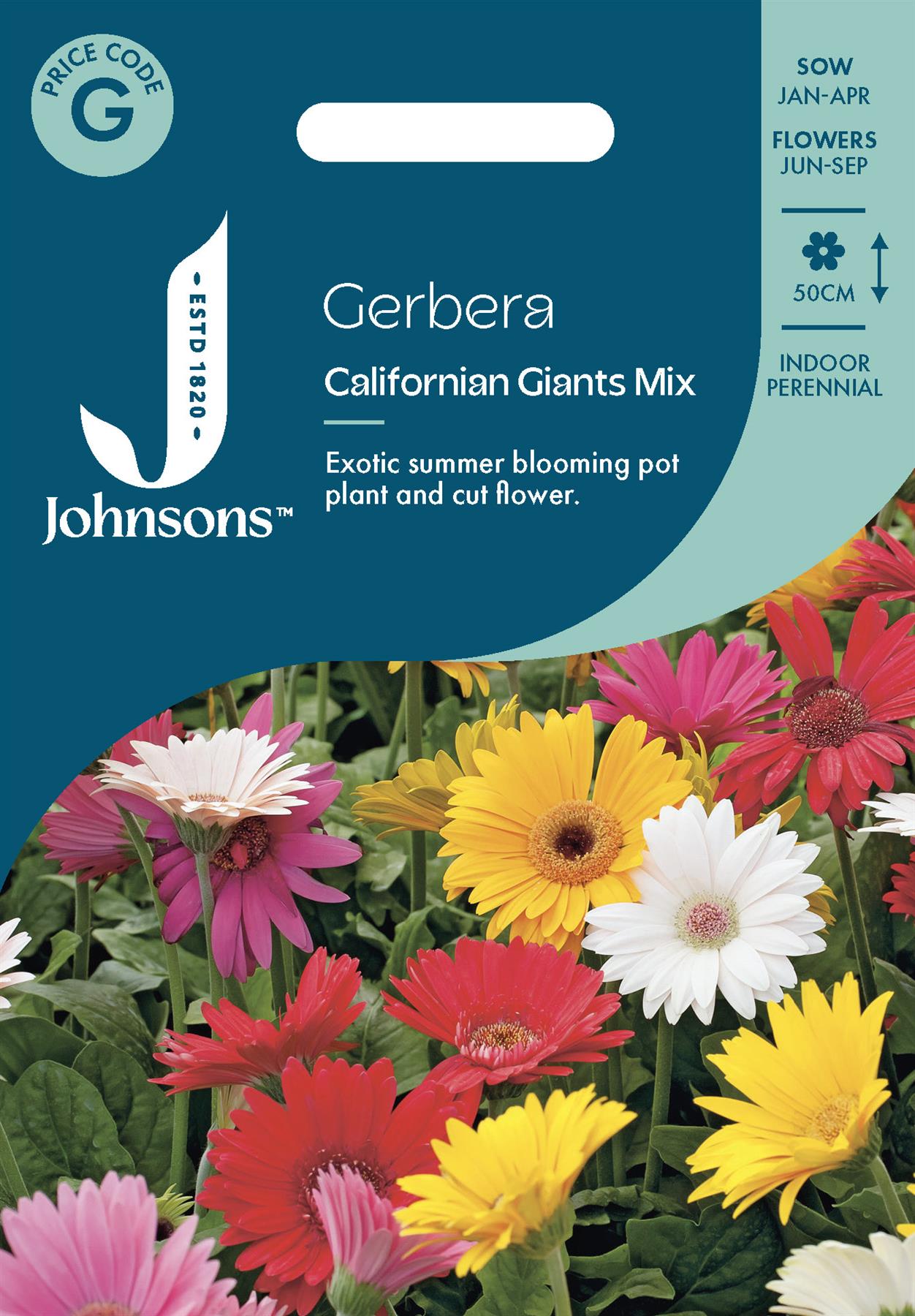 Johnsons - Gerbera Californian Giants Mix - 25 Seeds