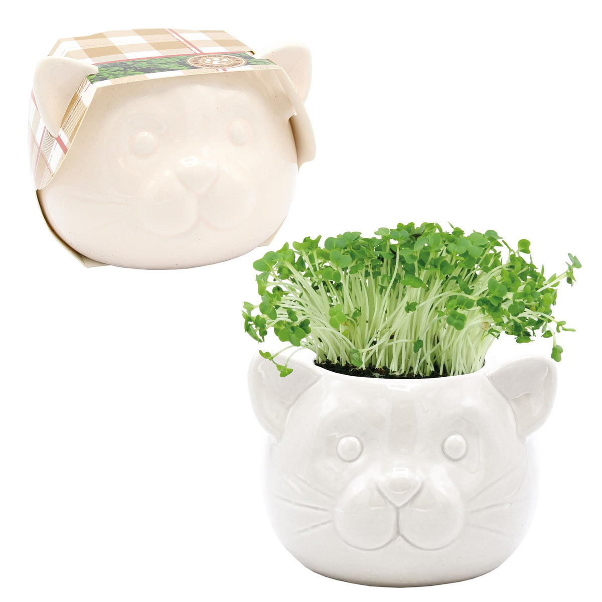 Cress Head Cat Novelty Planter Grow Kit – Cream | Bees Seeds