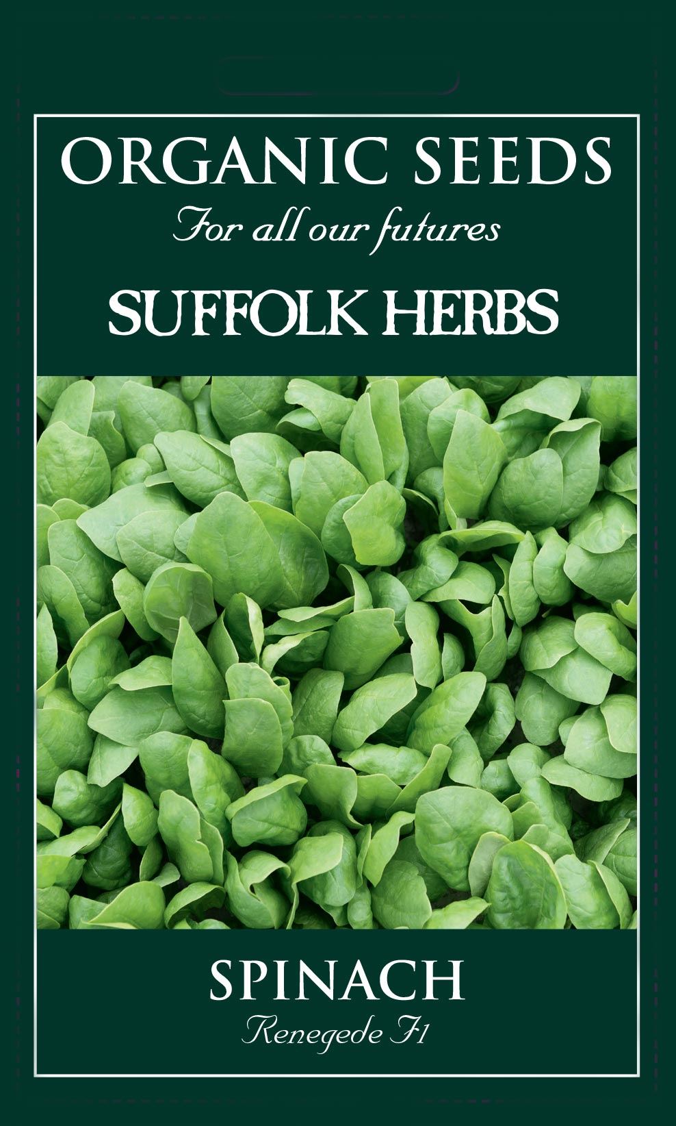 Suffolk Herbs - Organic - Spinach Renegade F1