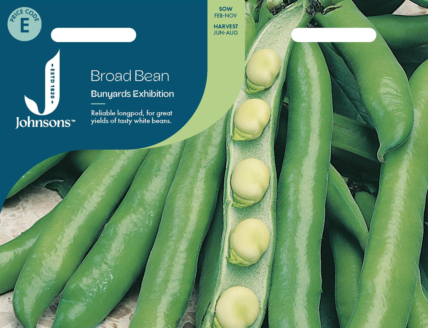 Johnsons - Broad Bean Bunyards Exhibition - 45 Seeds