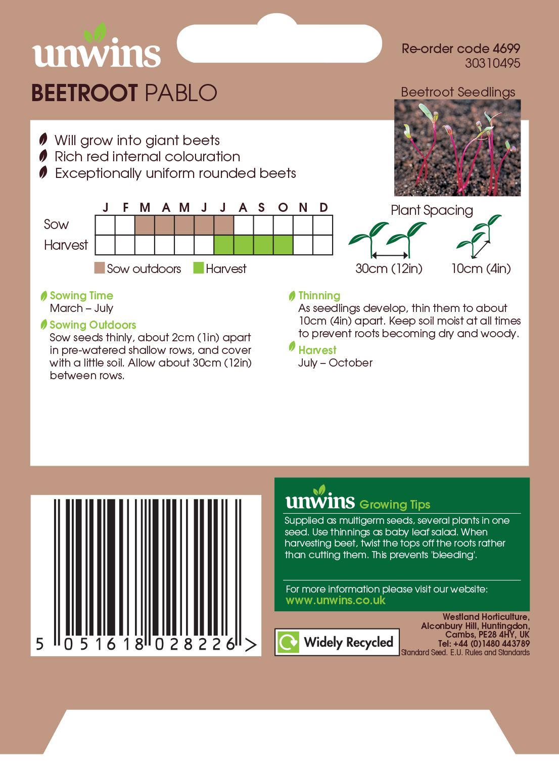 Unwins Beetroot (Round) Pablo 200 Seeds