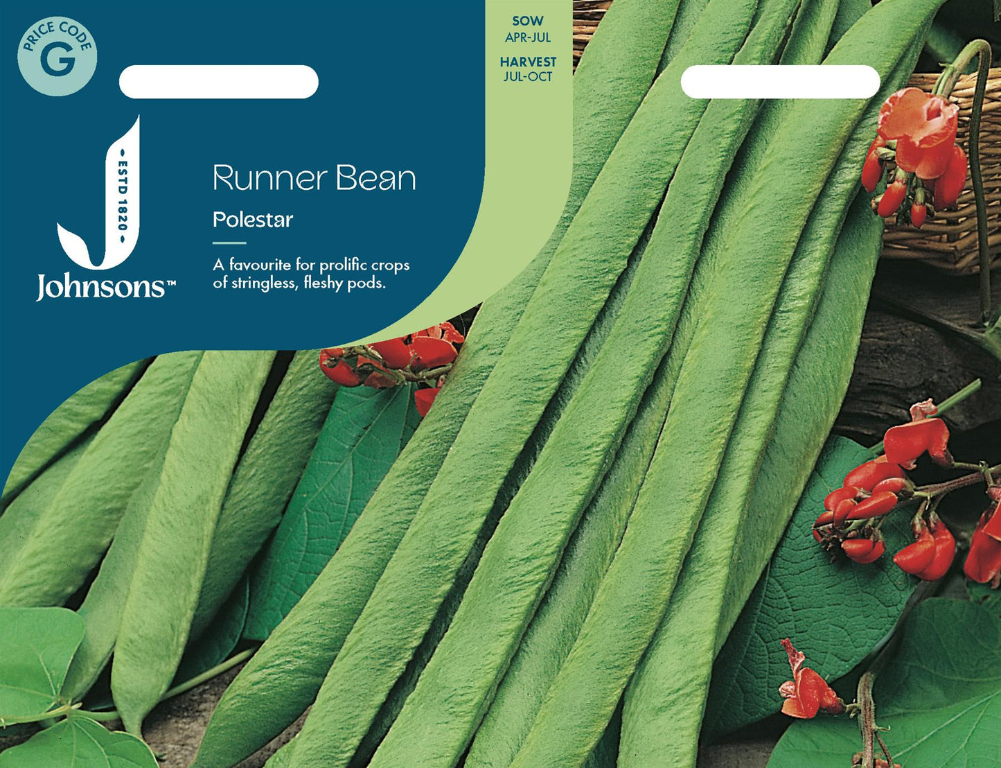 Johnsons - Runner Bean Polestar - 40 Seeds