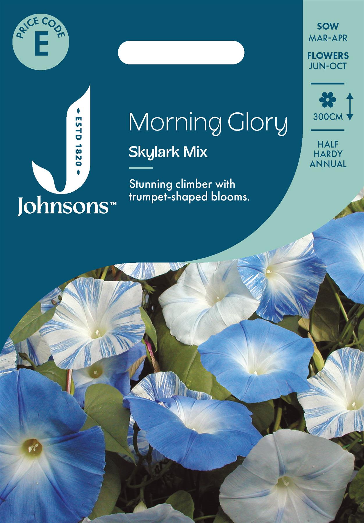 Johnsons - Morning Glory Skylark Mix - 30 Seeds