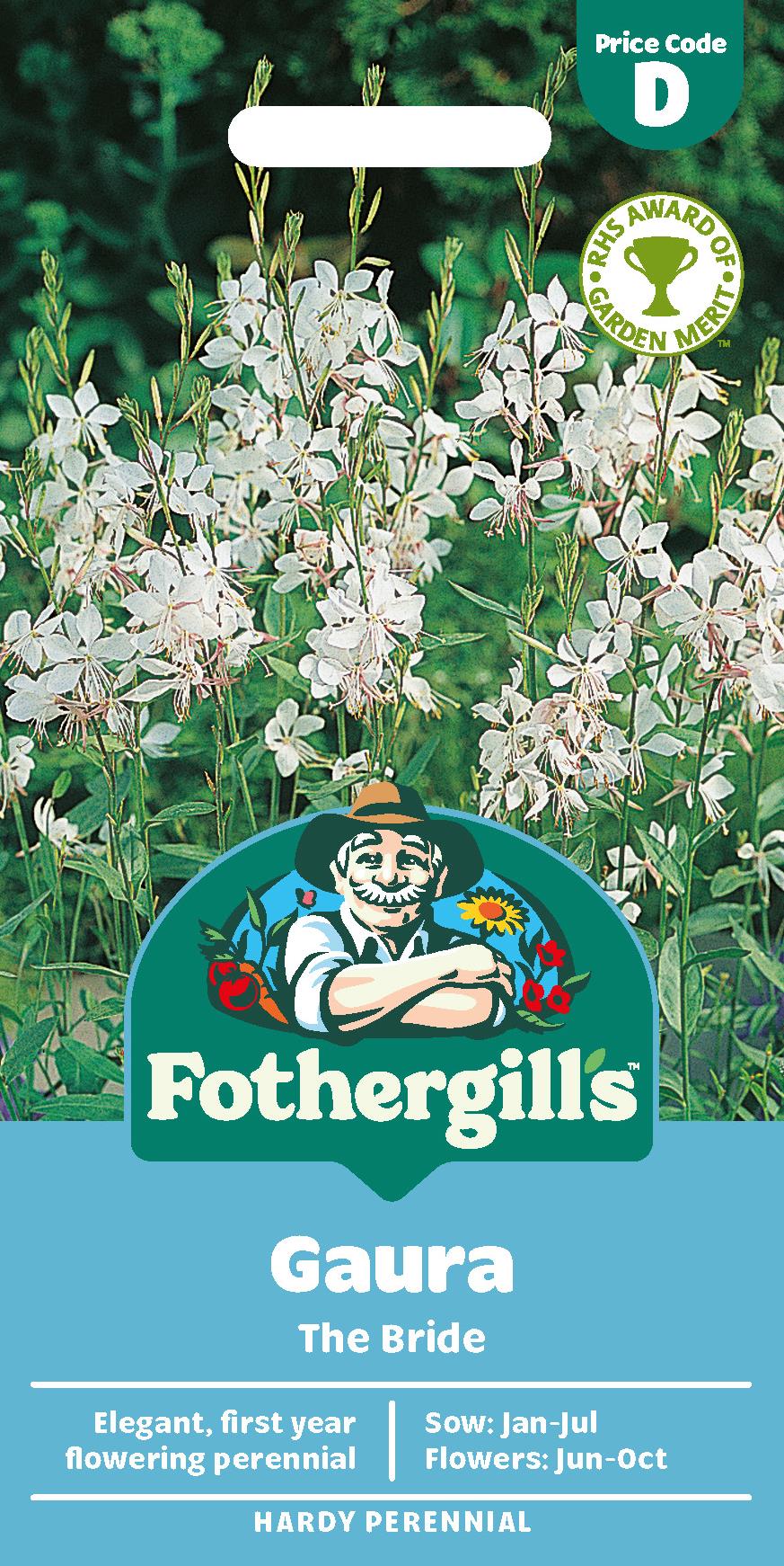 Fothergills Gaura The Bride Seeds