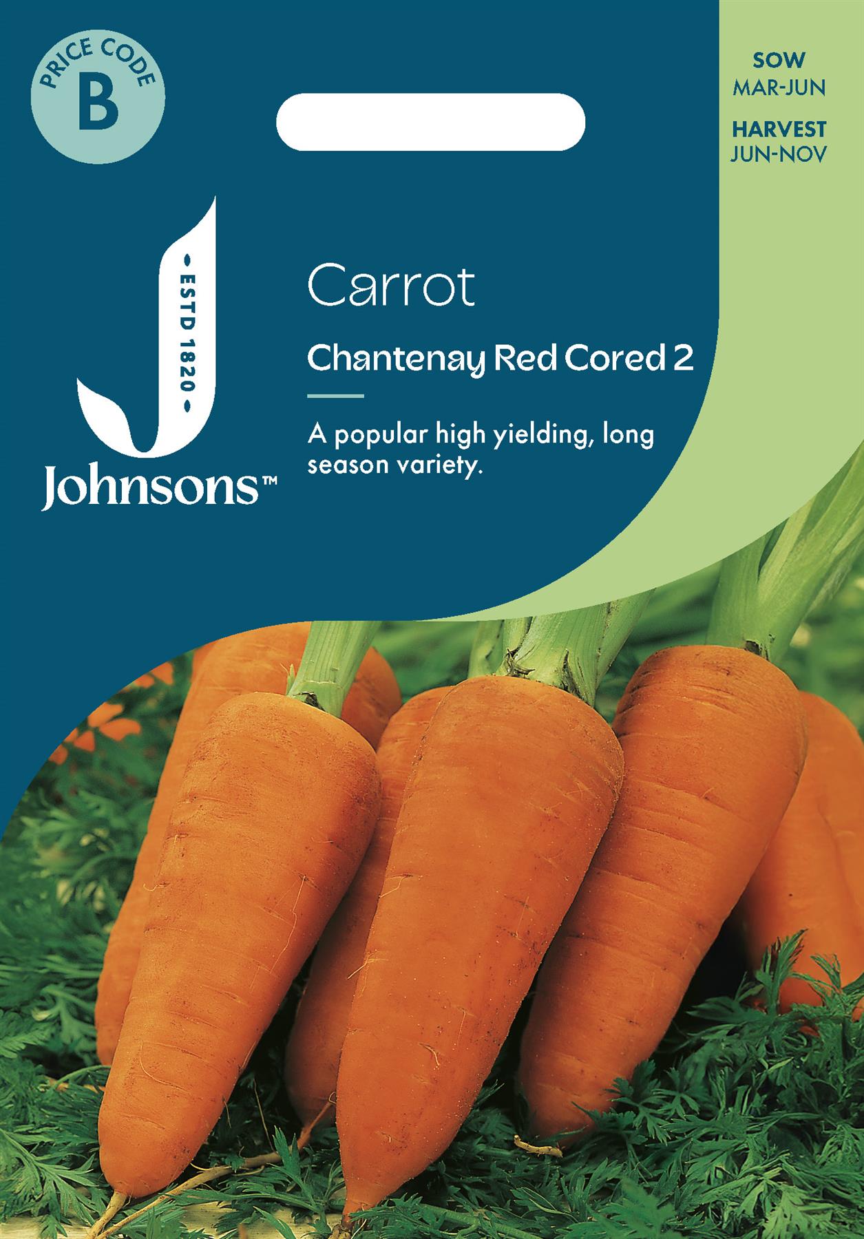 Johnsons - Carrot Chantenay Red Cored 2 - 1500 Seeds