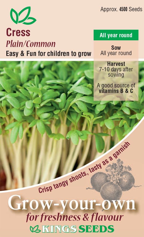 Kings Seeds Cress Plain / Common Seeds
