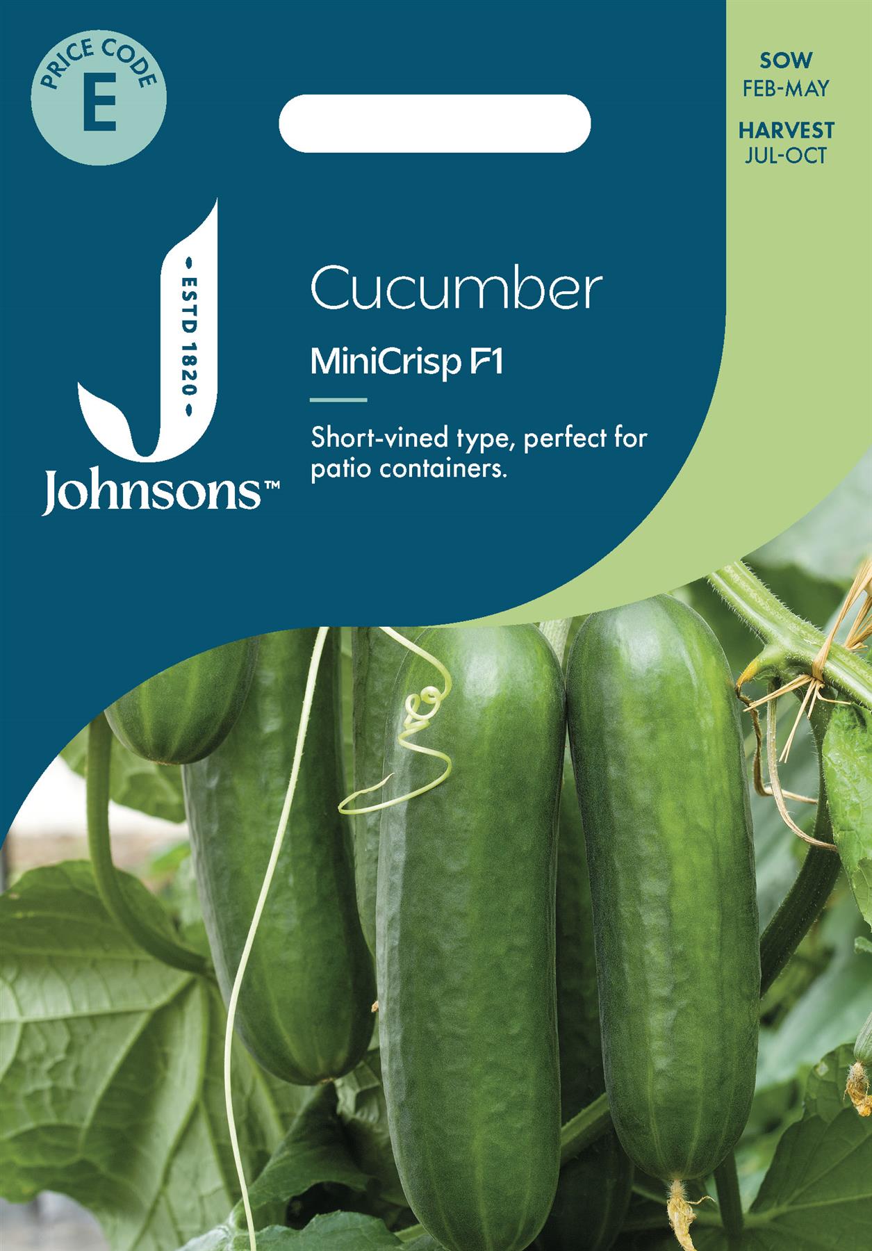 Johnsons - Cucumber Minicrisp F1 - 5 Seeds