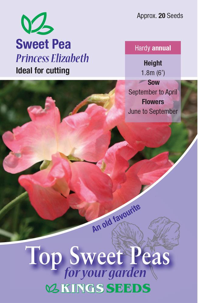 Kings Seeds Sweet Pea Princess Elizabeth 20 Seeds
