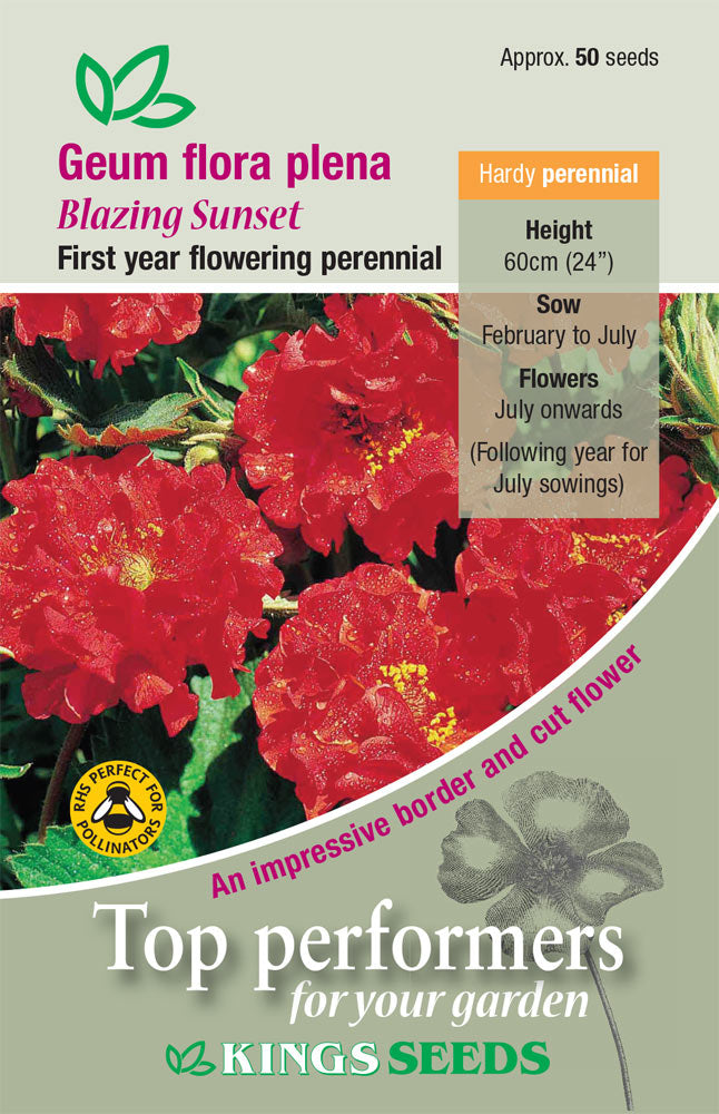 Kings Seeds Geum Flora Plena Blazing Sunset 50 Seed
