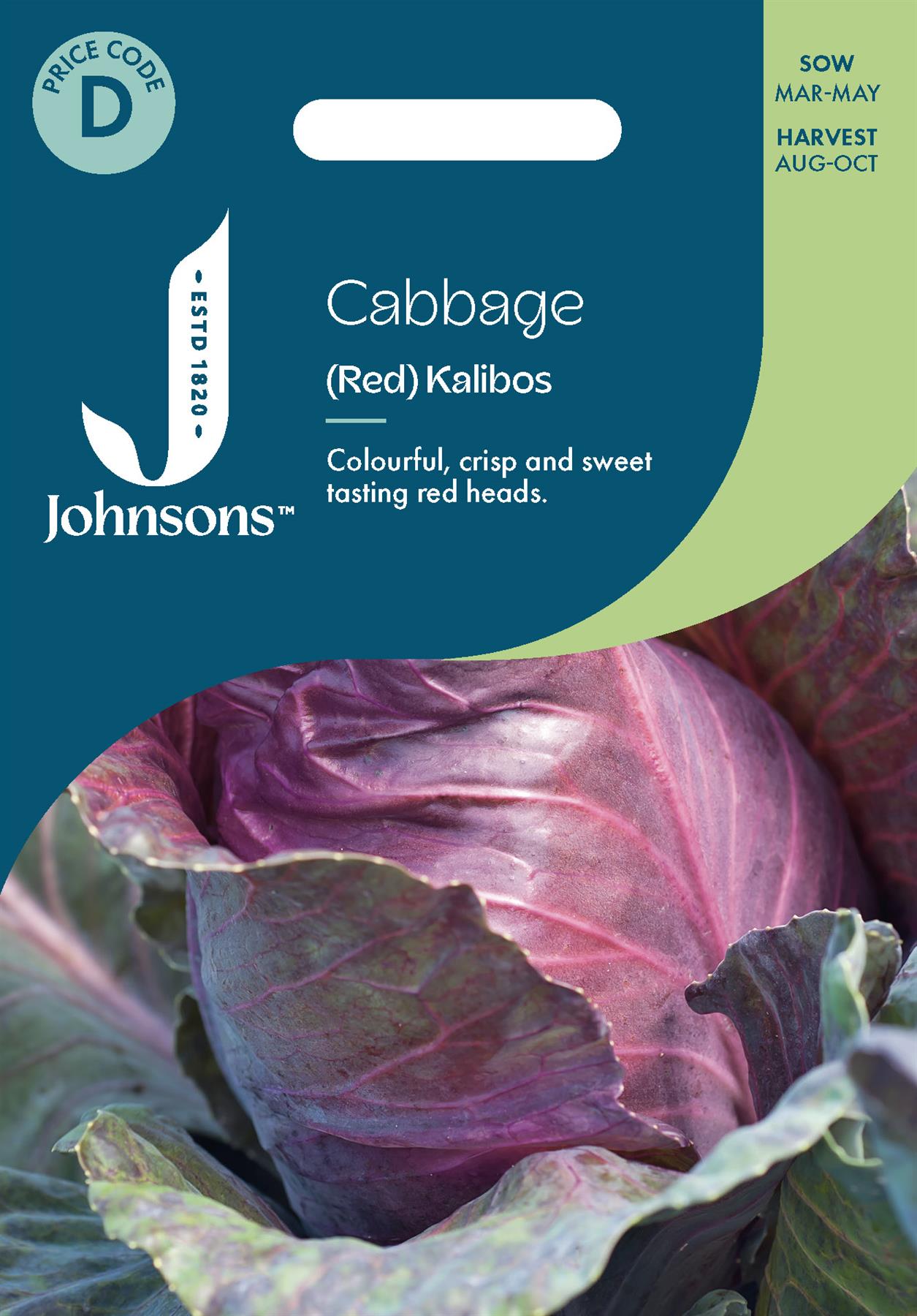 Johnsons - Cabbage (red) Kalibos - 150 Seeds